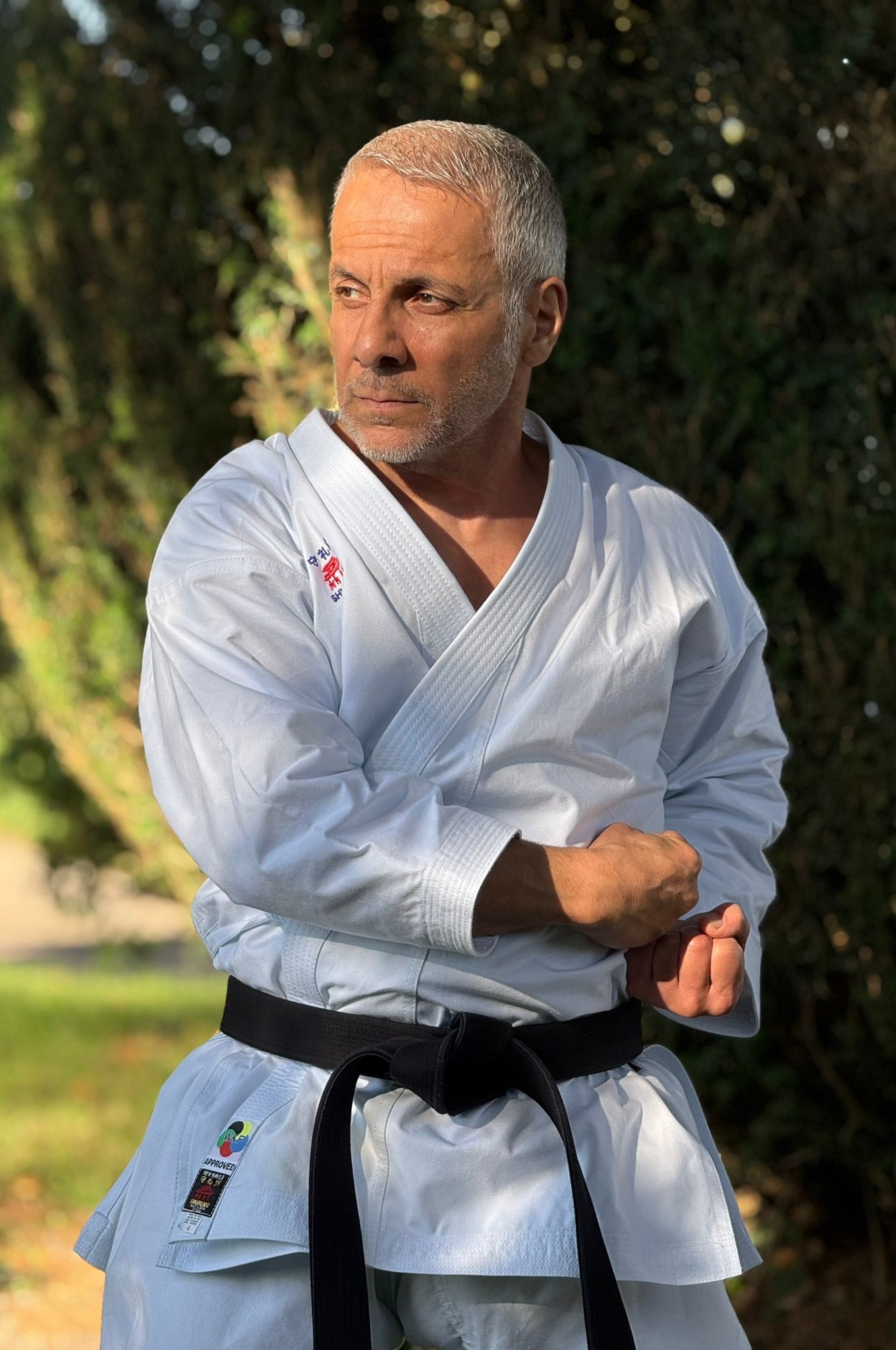 Sensei Seyed Alaedin Nekoofar